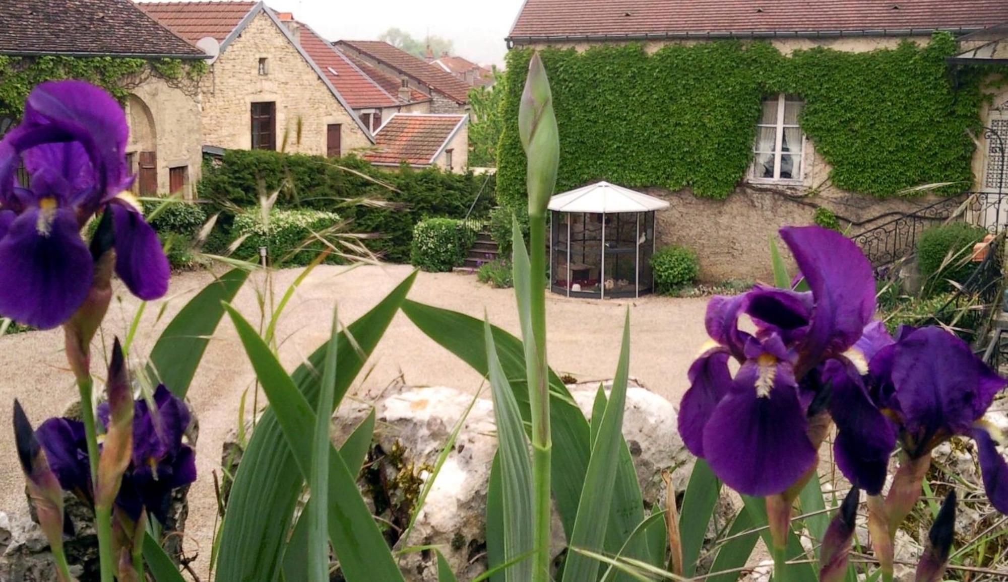 Le Chateau De Prauthoy Exterior foto