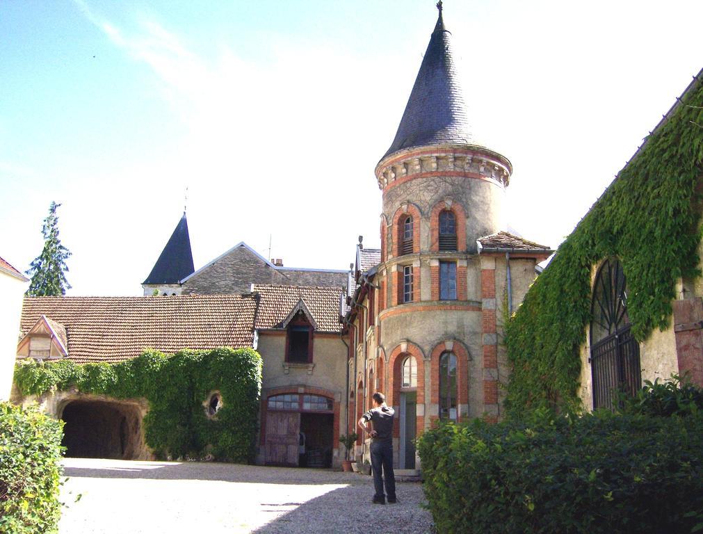 Le Chateau De Prauthoy Exterior foto